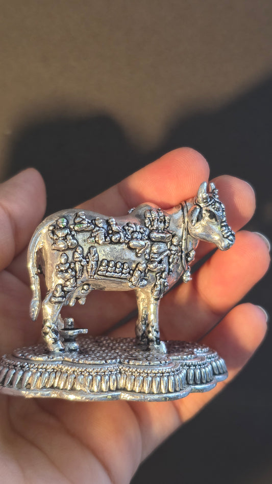 Cow Idol