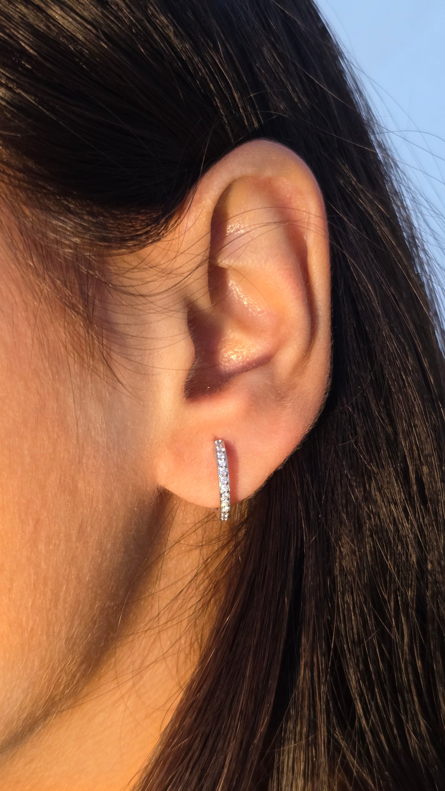 Linked Loop Earring