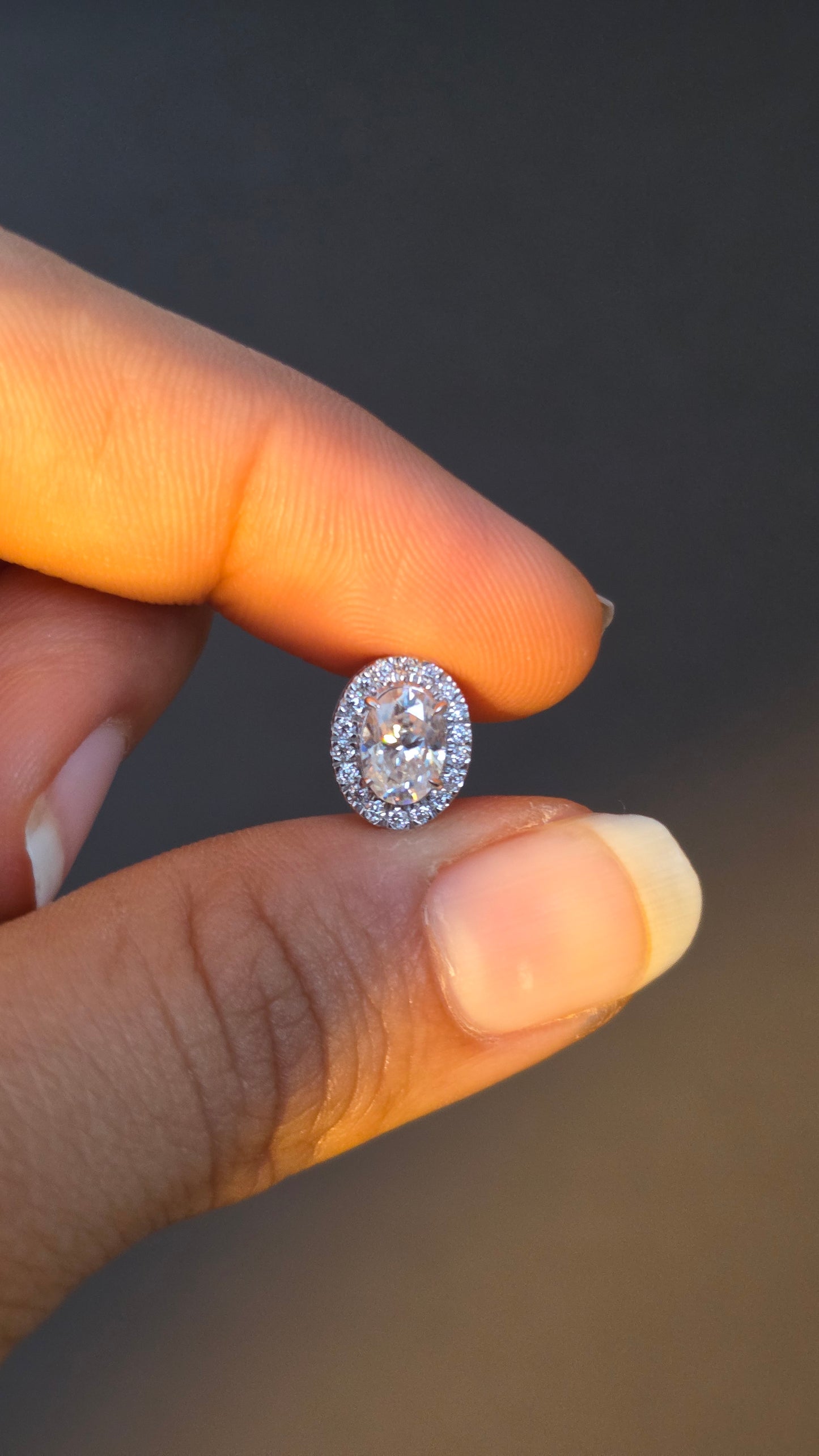 Oval Halo Studs