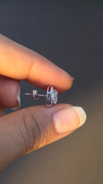 Oval Halo Studs