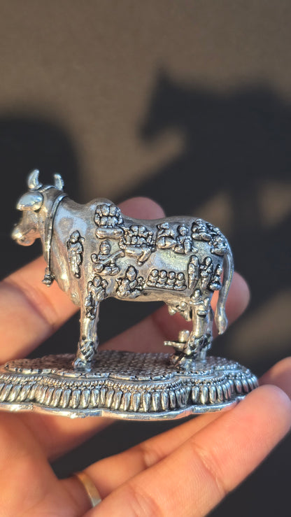 Cow Idol