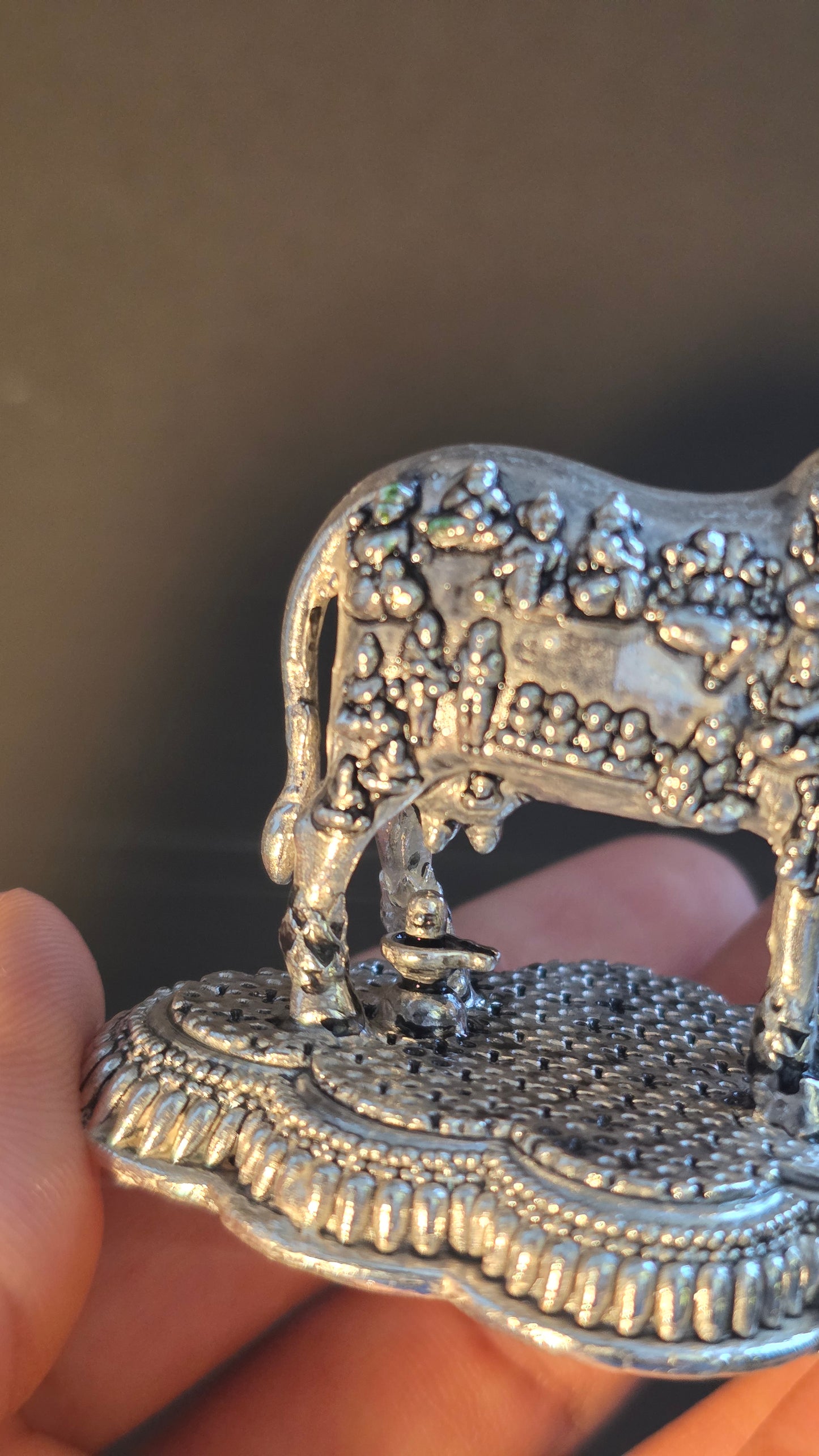 Cow Idol