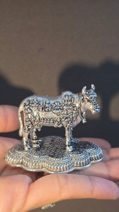 Cow Idol