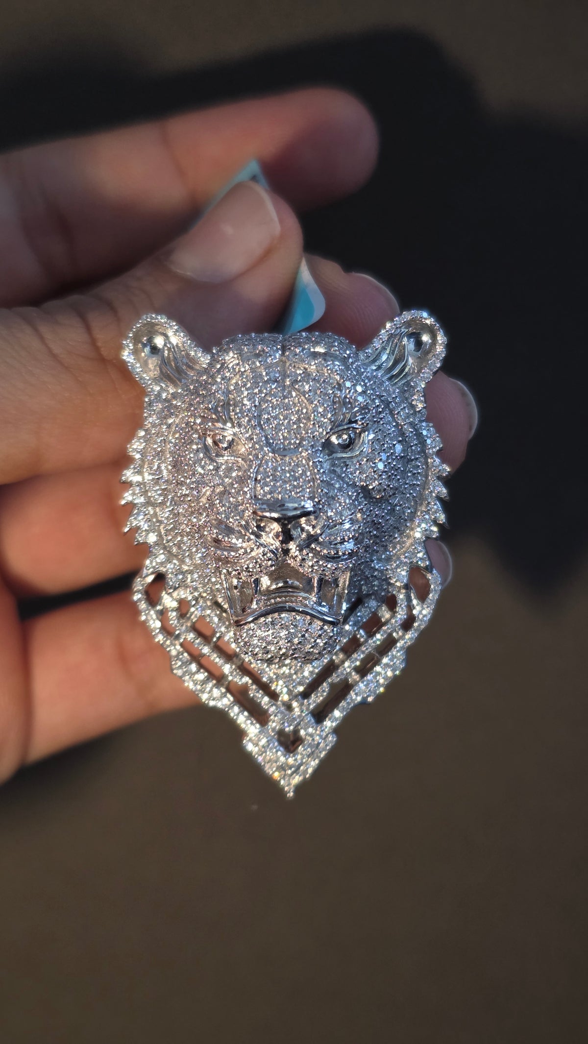 Lion Shield