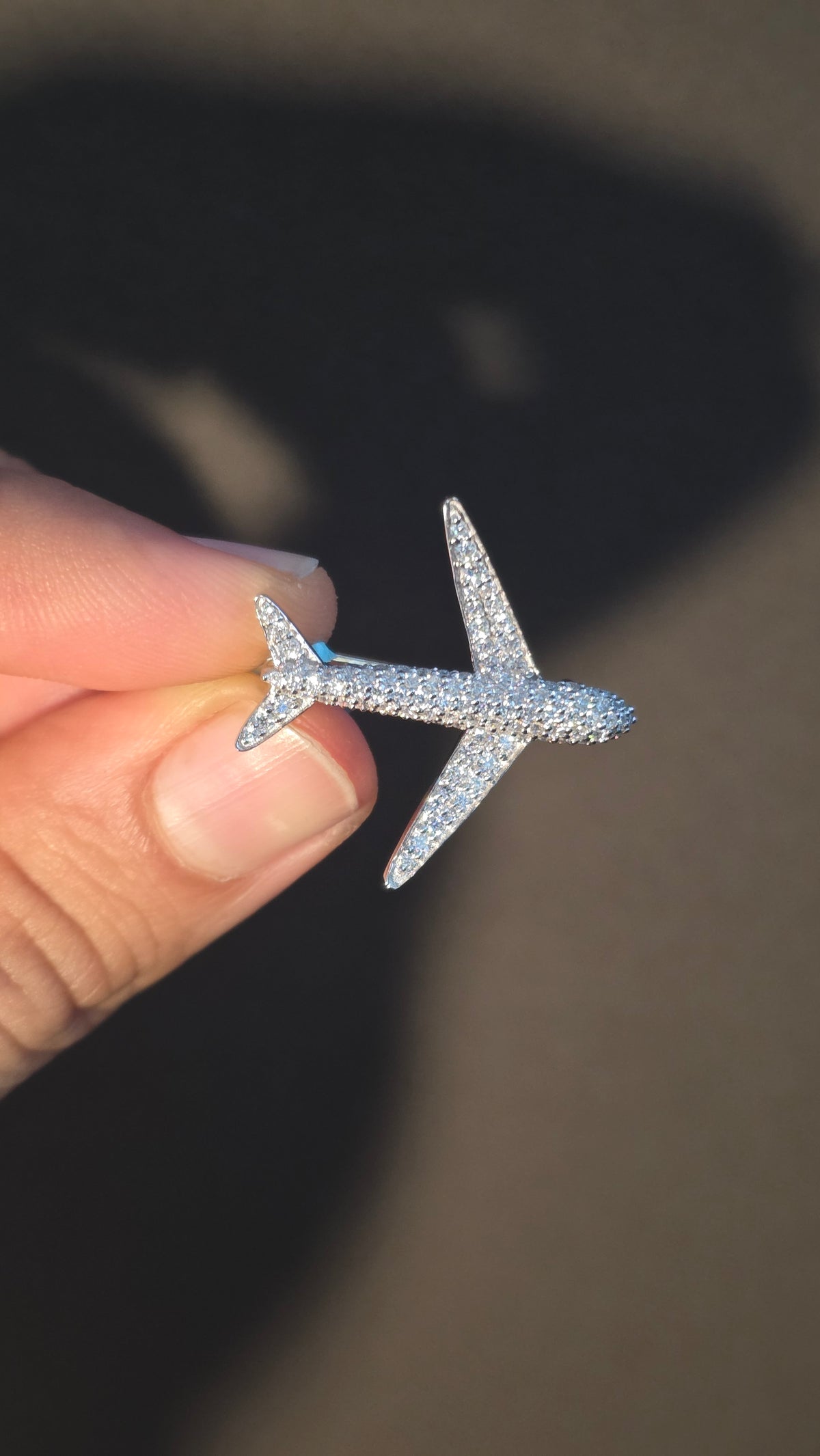 Flight Pin