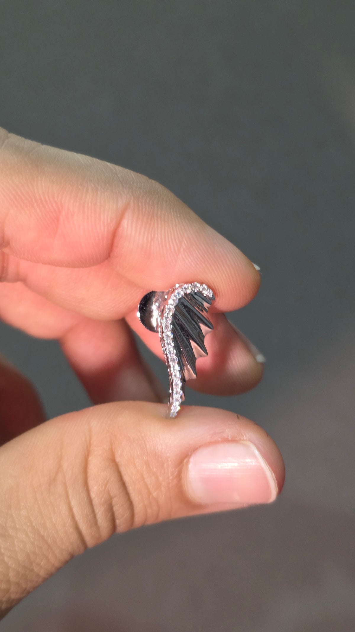 The Silver Crest Wing Set