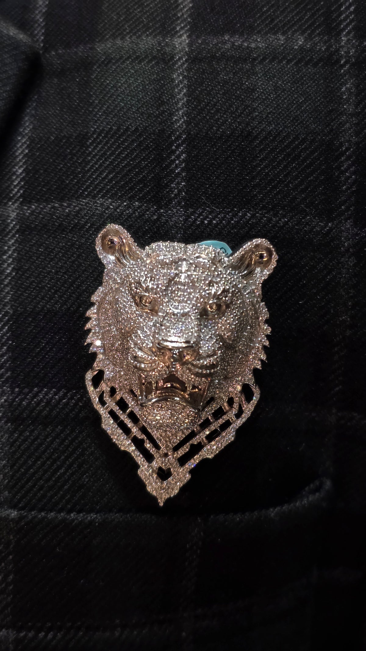 Lion Shield