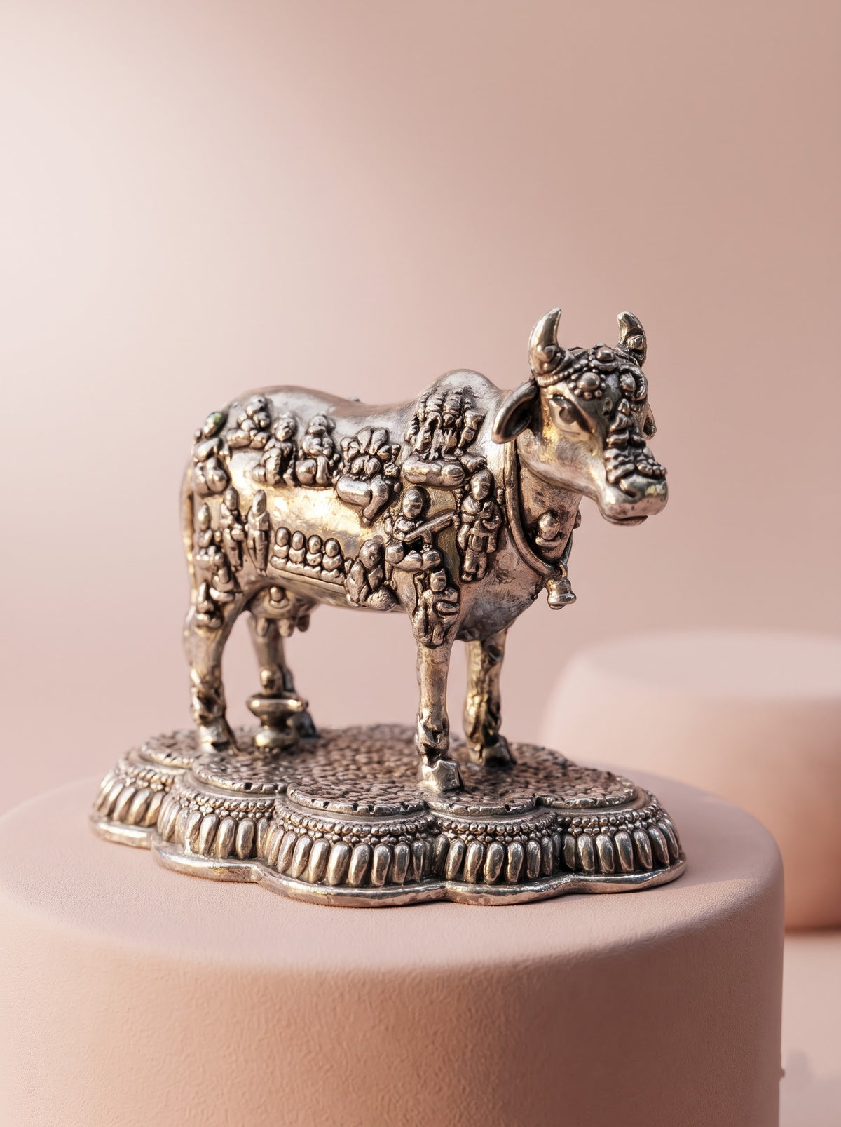 Cow Idol